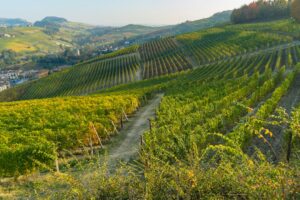 Bando STEP Piemonte 2026: guida completa alla seconda finestra